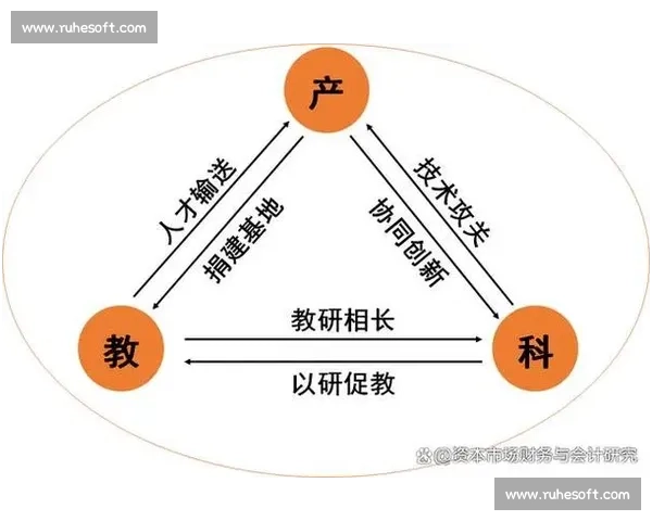 以单核带队为核心推动组织协同高效运转与持续增长机制构建